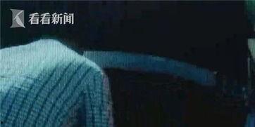 司机吃瓜完整视频,揭秘瓜农生活，感受田间地头欢乐时光  第2张